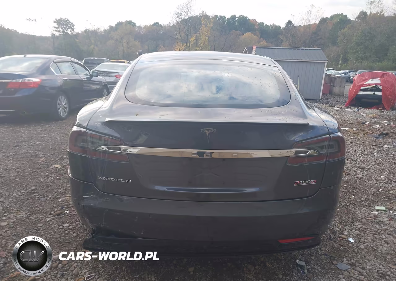 2018 Tesla Model S 100D-75D-P100D VIN:5YJSA1E46JF295468 - 16