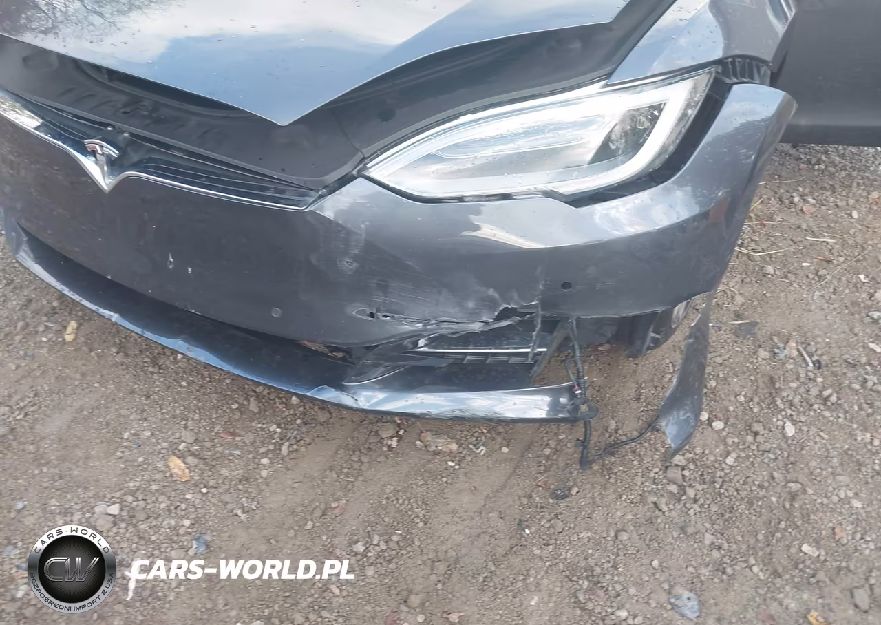 2018 Tesla Model S 100D-75D-P100D VIN:5YJSA1E46JF295468 - 19