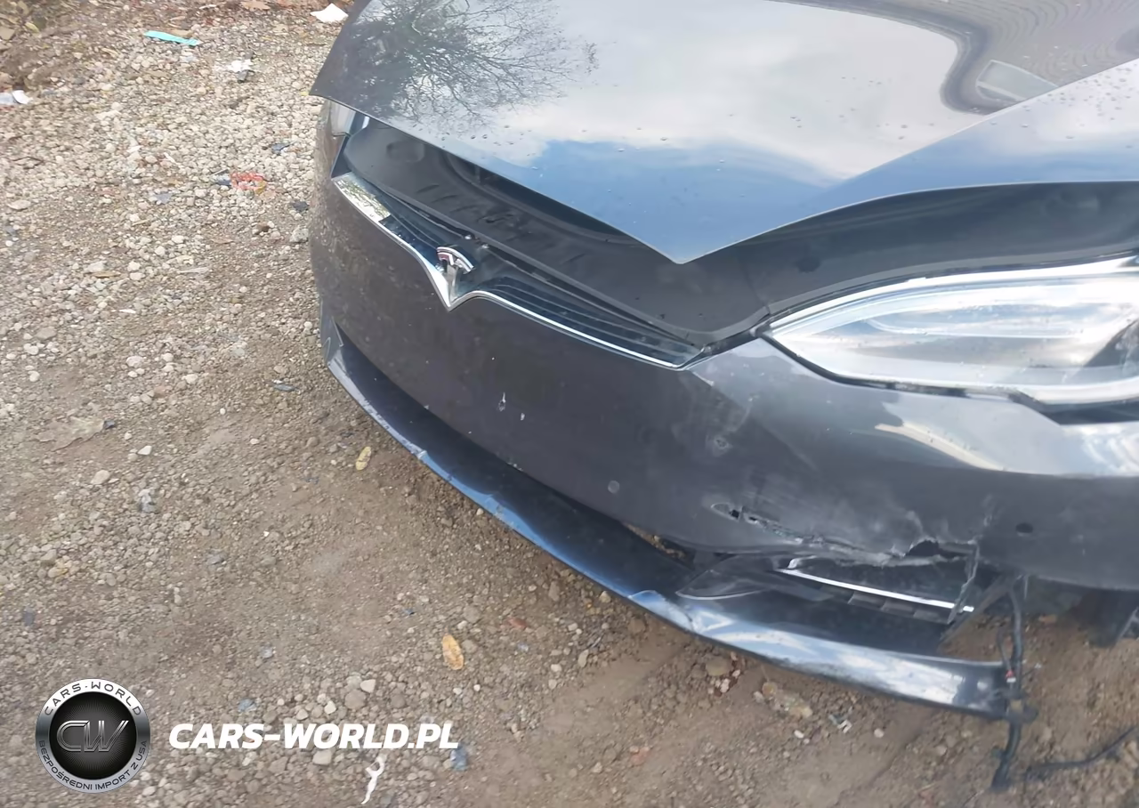 2018 Tesla Model S 100D-75D-P100D VIN:5YJSA1E46JF295468 - 20