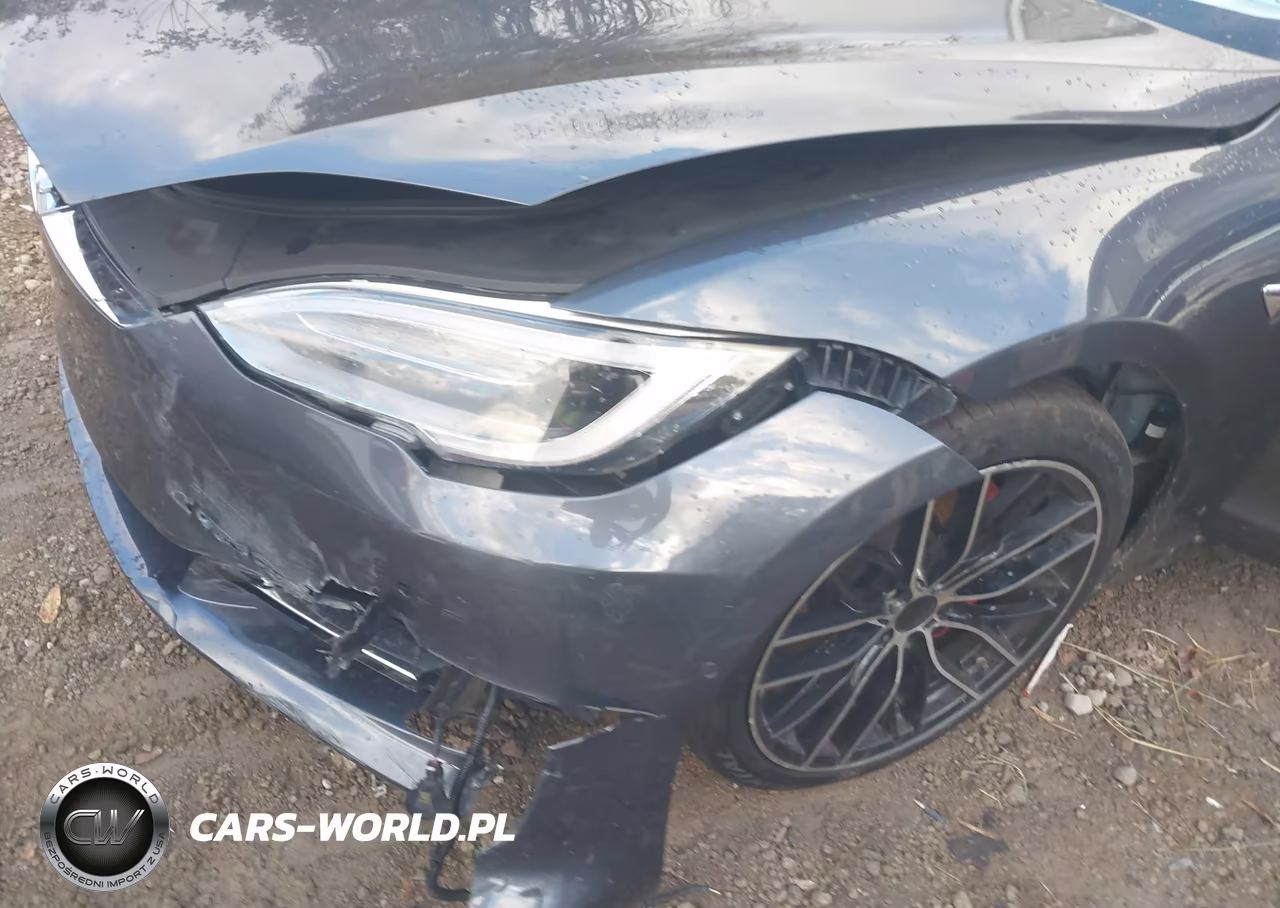 2018 Tesla Model S 100D-75D-P100D VIN:5YJSA1E46JF295468 - 21