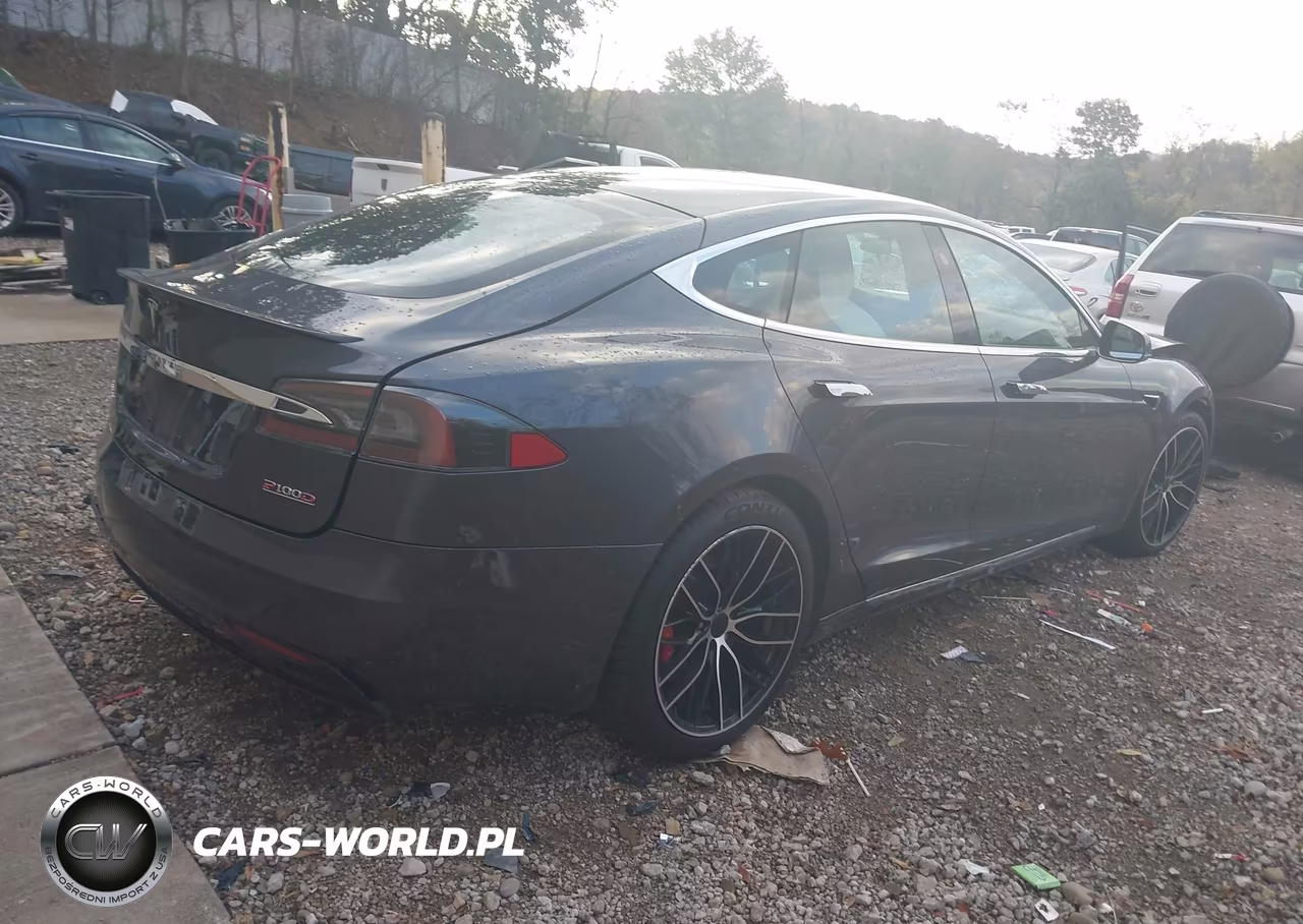 2018 Tesla Model S 100D-75D-P100D VIN:5YJSA1E46JF295468 - 4