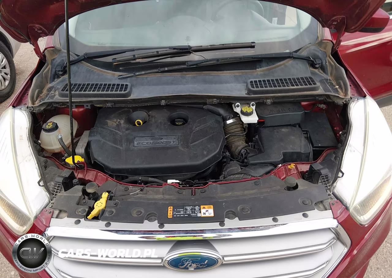 2017 Ford Escape Se VIN:1FMCU0G91HUE55087 - 10