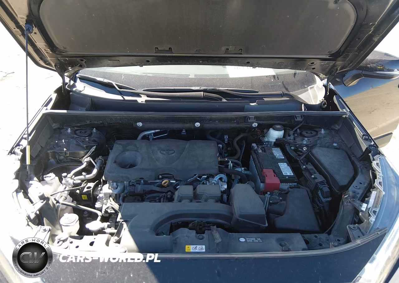 2025 Toyota Rav4 Xle VIN:2T3W1RFV7SC325274 - 10