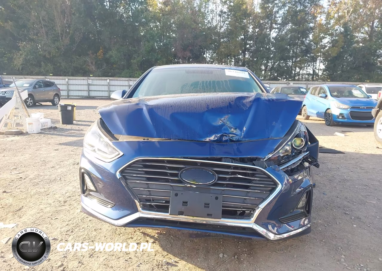 2019 Hyundai Sonata Se VIN:5NPE24AF7KH746817 - 12