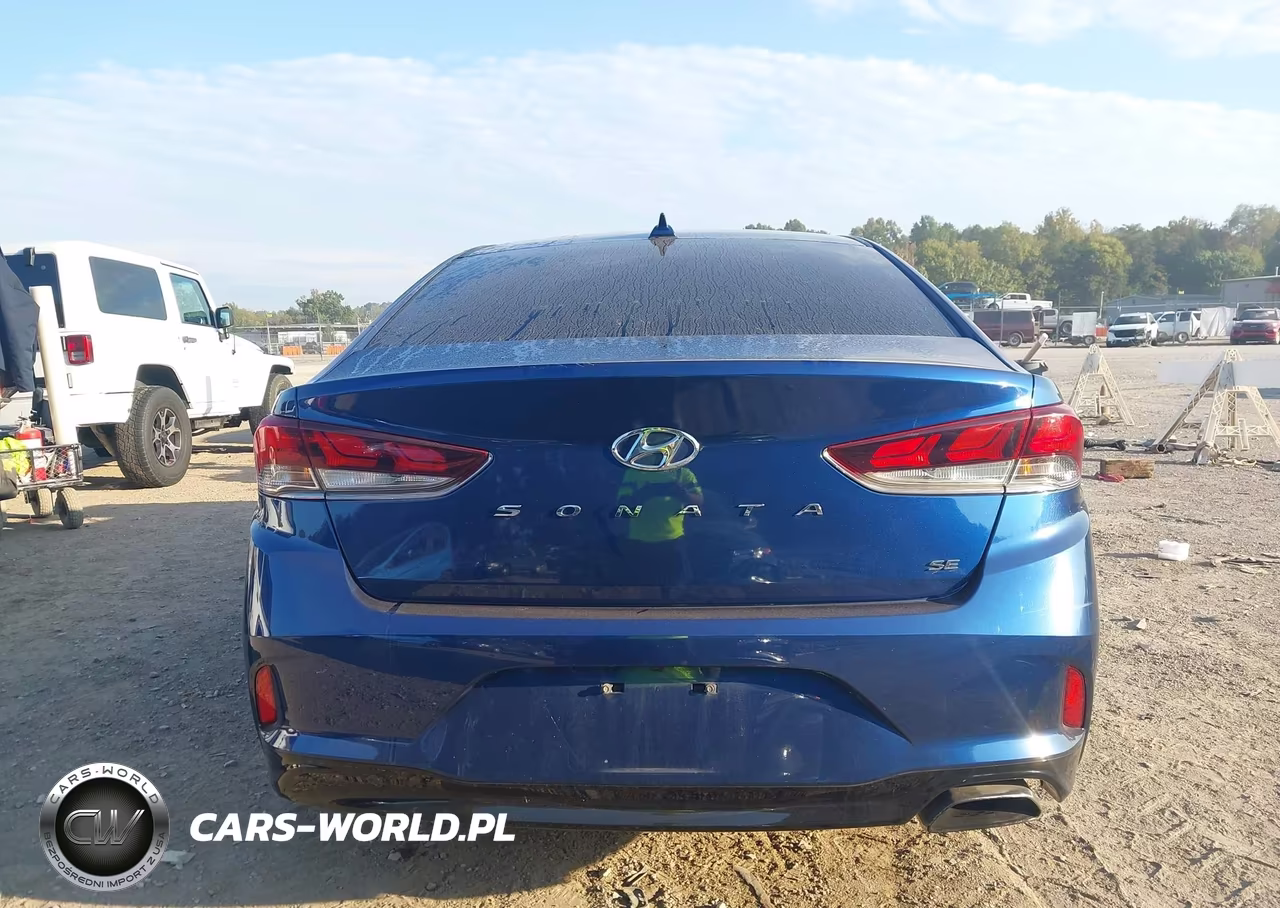 2019 Hyundai Sonata Se VIN:5NPE24AF7KH746817 - 16