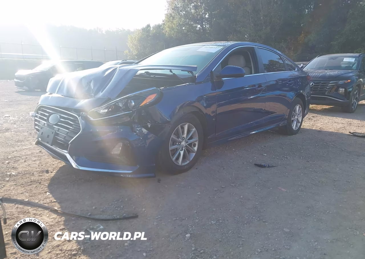 2019 Hyundai Sonata Se VIN:5NPE24AF7KH746817 - 2