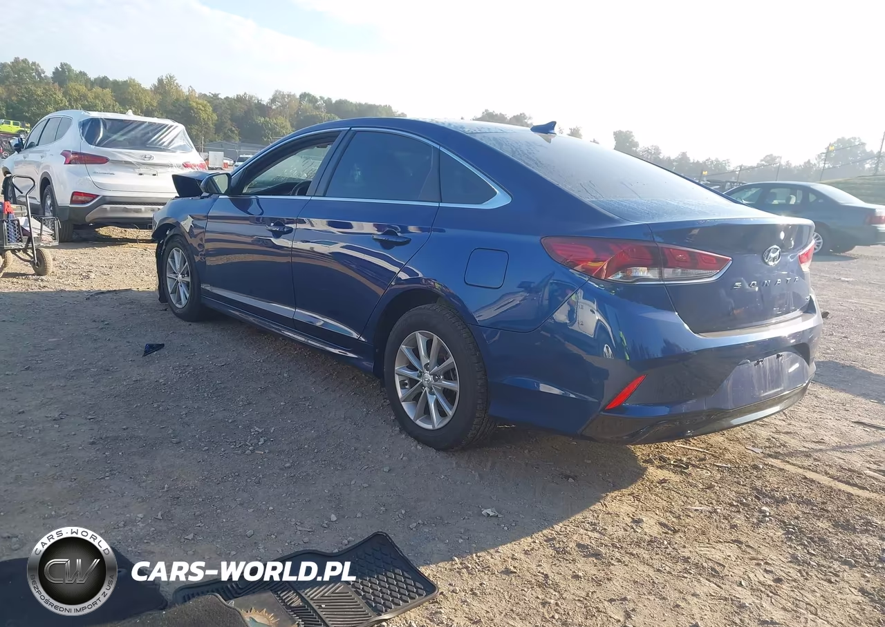 2019 Hyundai Sonata Se VIN:5NPE24AF7KH746817 - 3