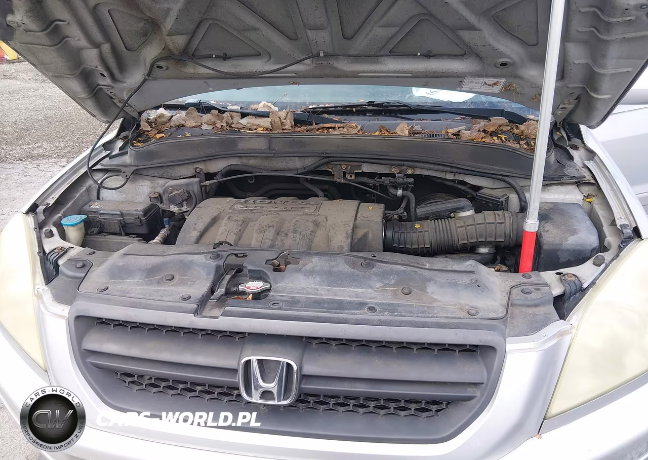 2005 Honda Pilot Exl VIN:5FNYF186X5B009443 - 10