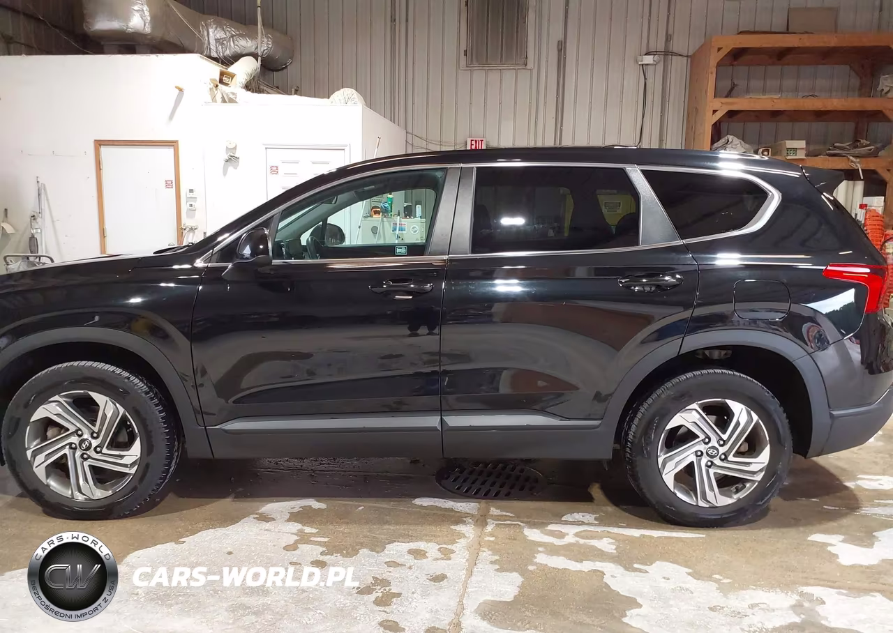 2021 Hyundai Santa Fe Se VIN:5NMS1DAJ0MH358371 - 19
