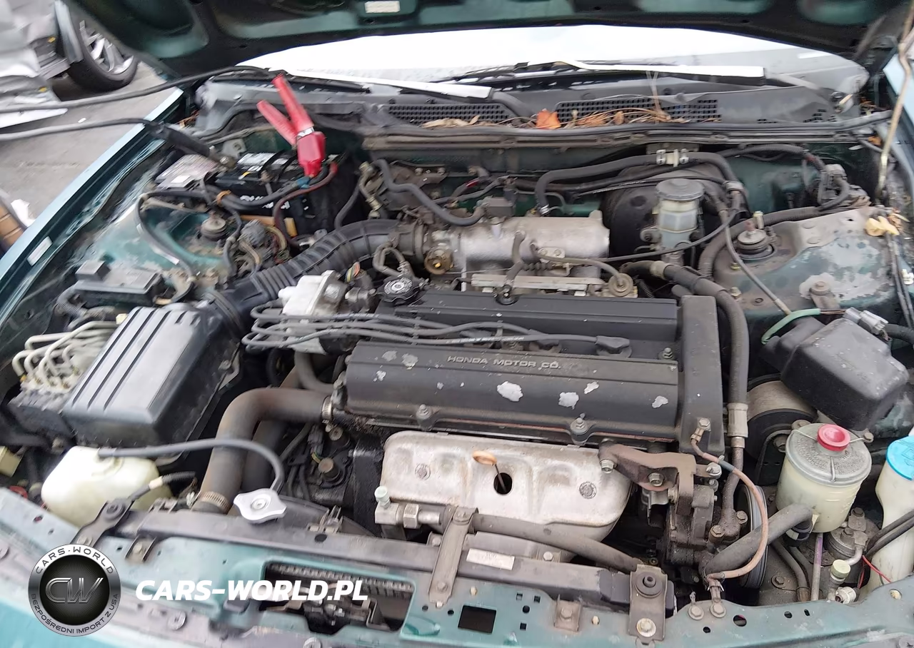 2000 Acura Integra Ls VIN:JH4DC4450YS002559 - 10