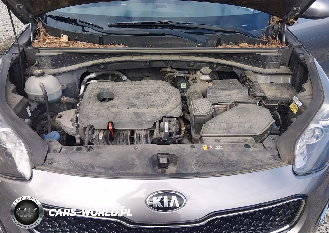 2018 Kia Sportage Lx VIN:KNDPMCACXJ7377425 - 10