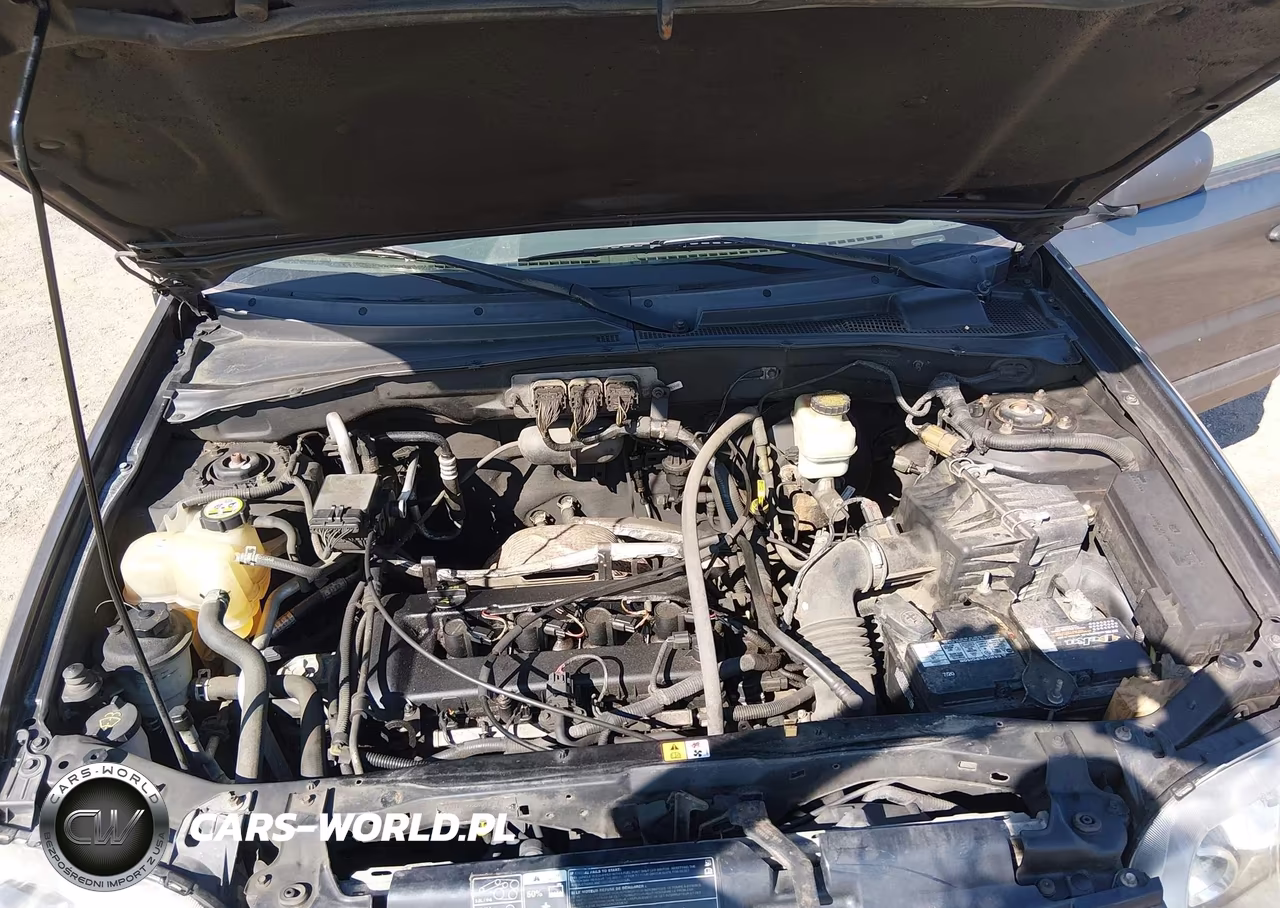 2006 Ford Escape Xlt VIN:1FMCU03Z86KC25688 - 10