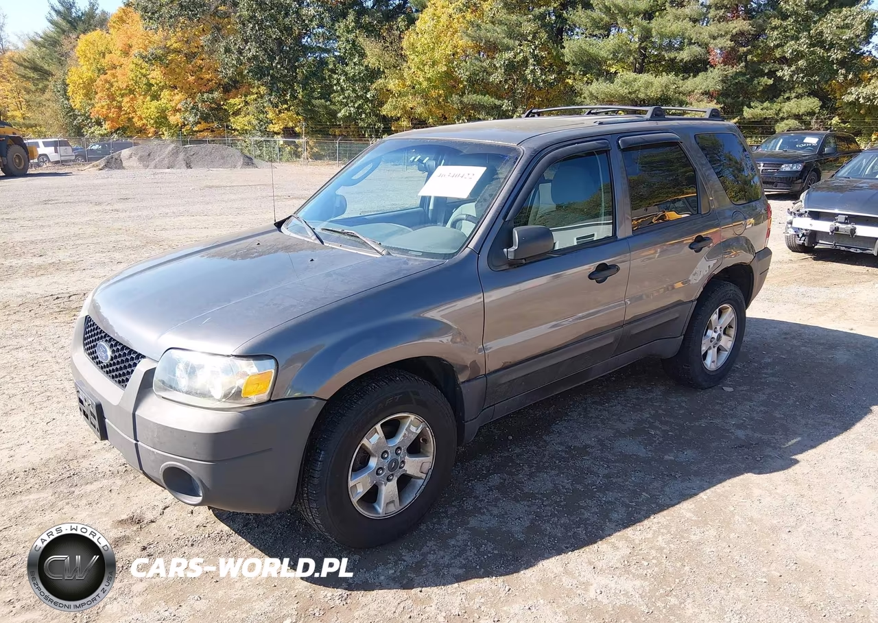 2006 Ford Escape Xlt VIN:1FMCU03Z86KC25688 - 2