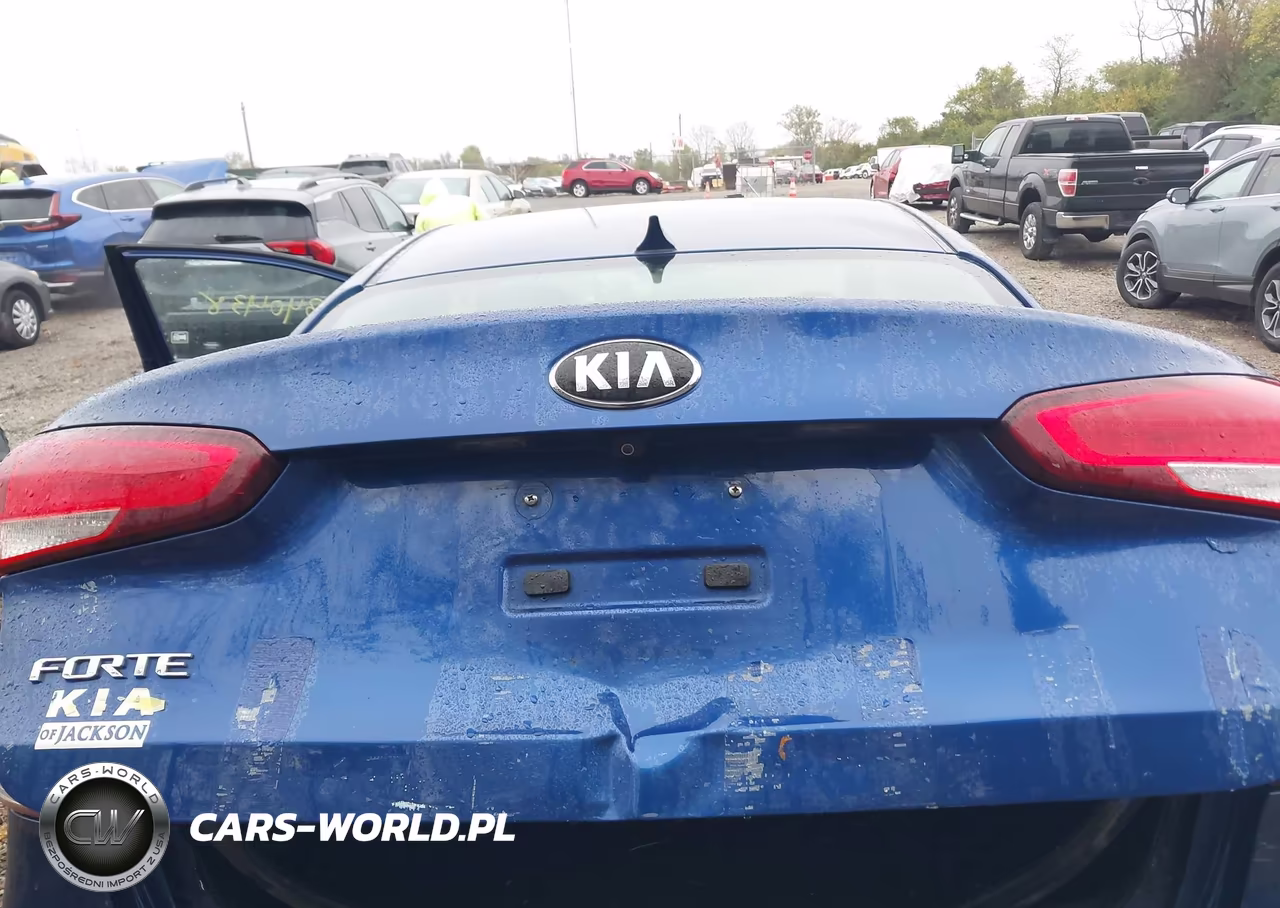 2017 Kia Forte Lx VIN:3KPFL4A76HE036251 - 19