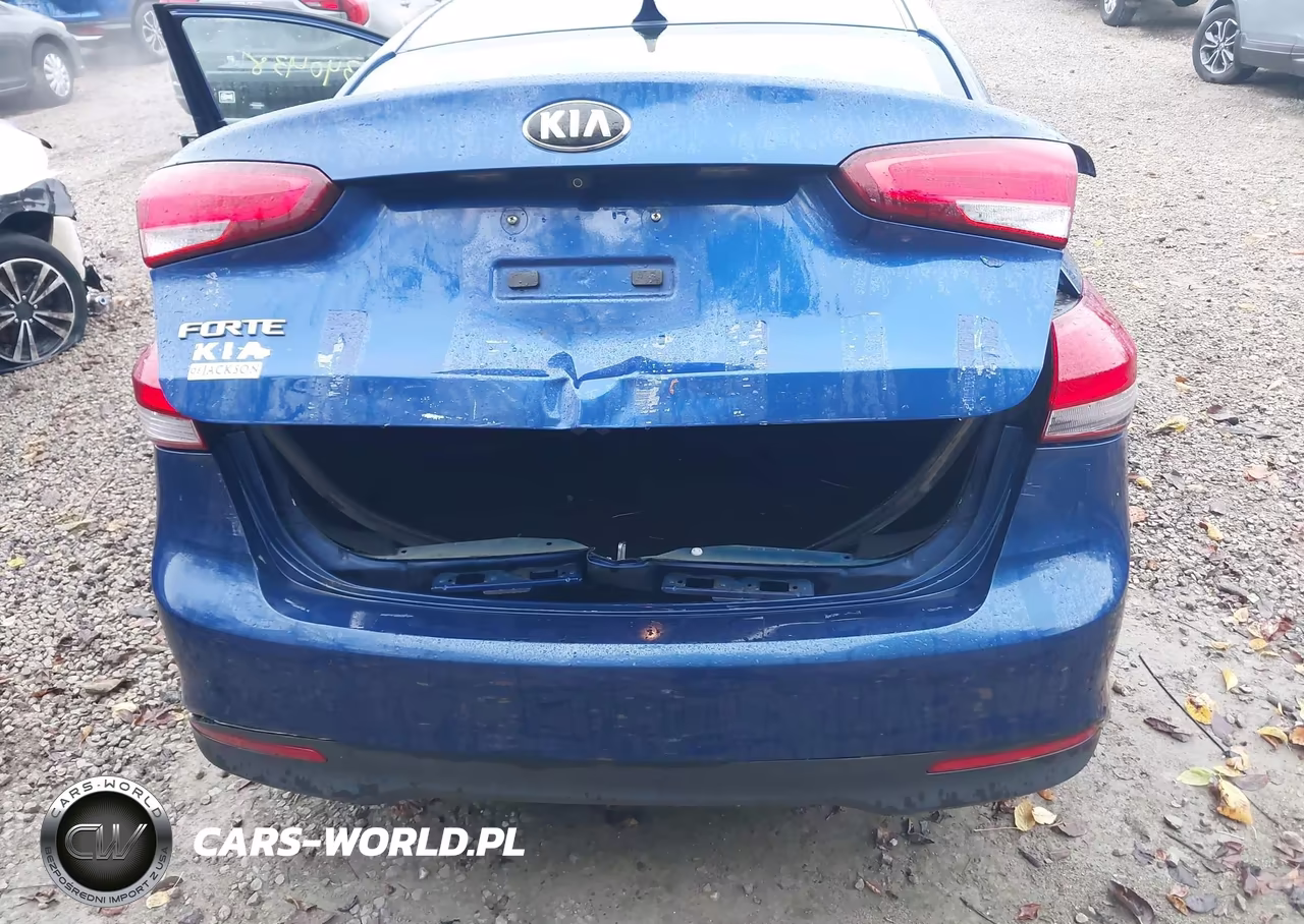 2017 Kia Forte Lx VIN:3KPFL4A76HE036251 - 6