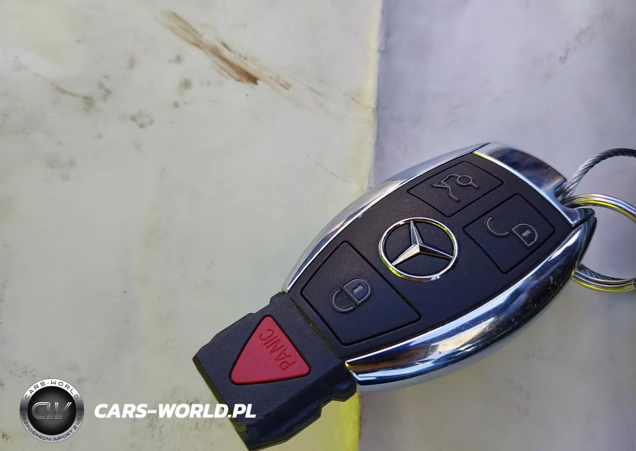 2017 Mercedes-Benz Gls 450 4Matic VIN:4JGDF6EE1HA829961 - 11