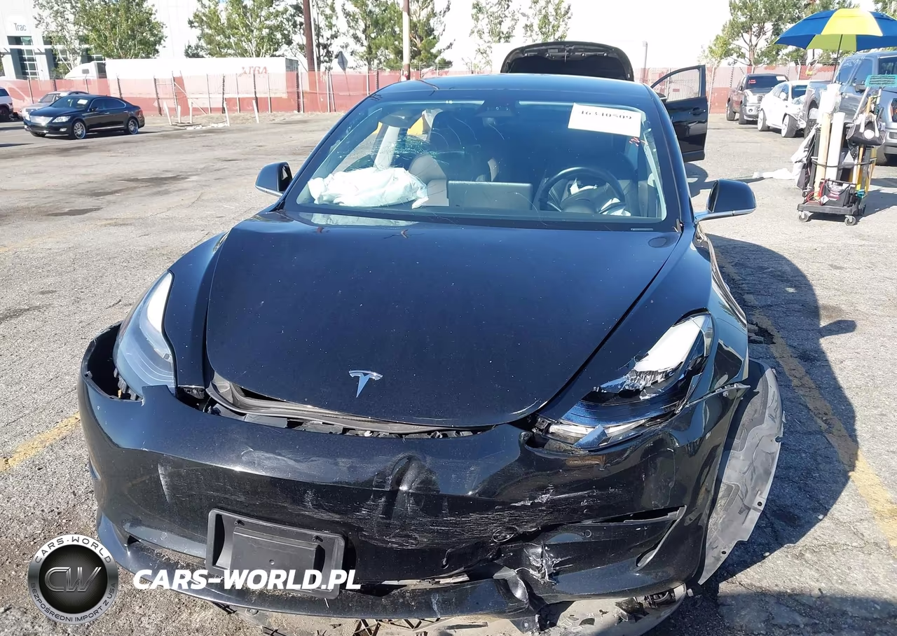 2020 Tesla Model 3 Standard Range Plus Rear-Wheel Drive-Standard Range Rear-Wheel Drive VIN:5YJ3E1EA3LF803378 - 13
