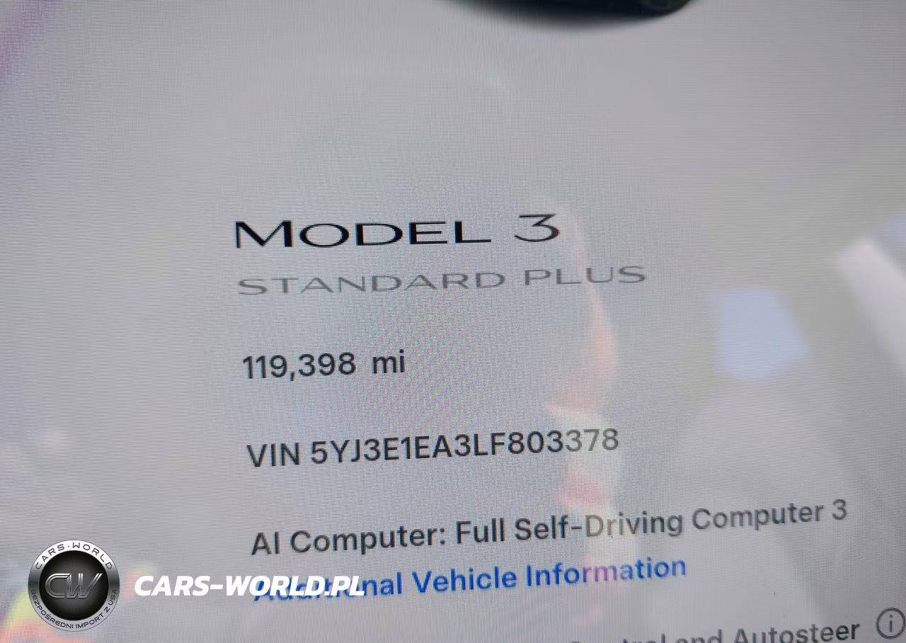2020 Tesla Model 3 Standard Range Plus Rear-Wheel Drive-Standard Range Rear-Wheel Drive VIN:5YJ3E1EA3LF803378 - 16