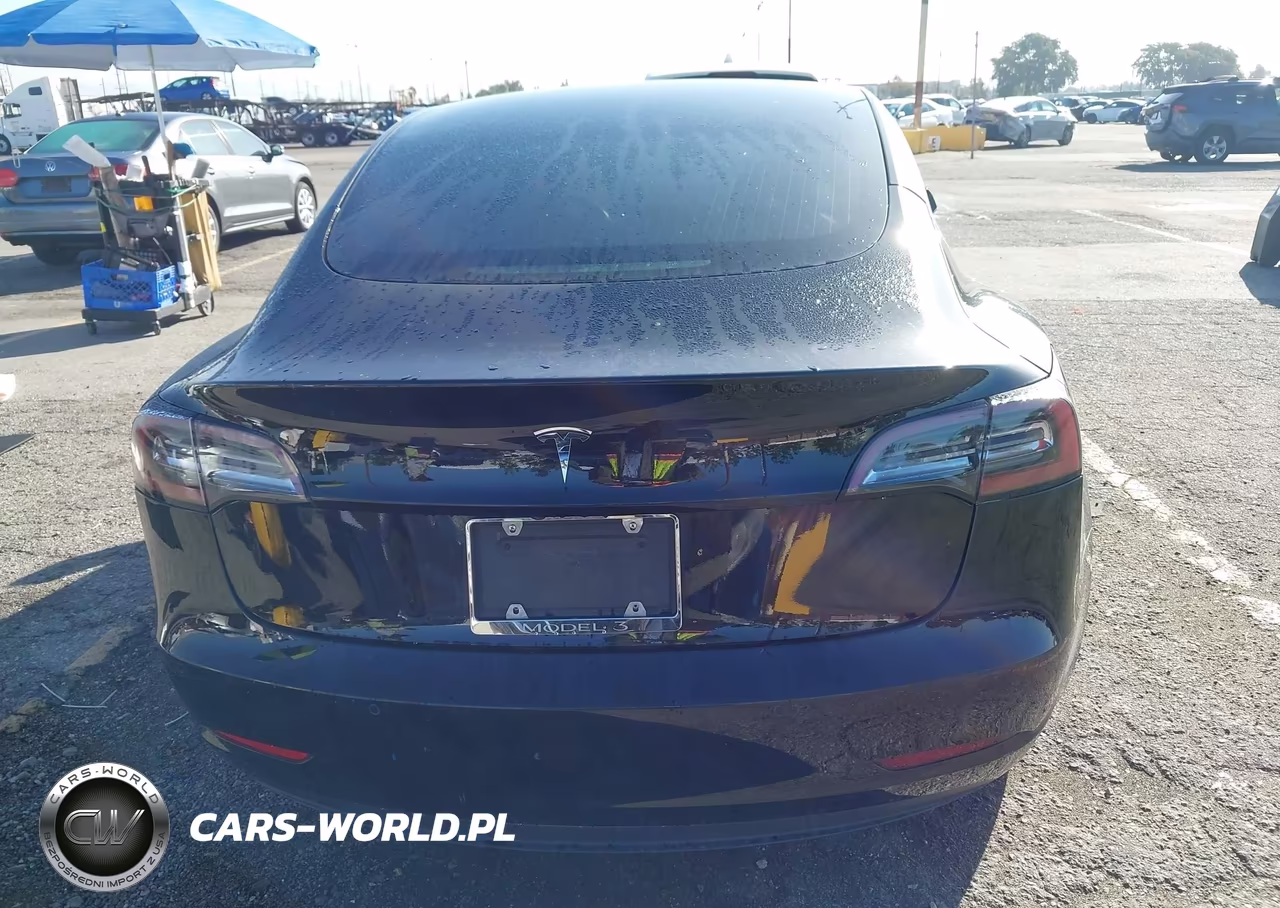 2020 Tesla Model 3 Standard Range Plus Rear-Wheel Drive-Standard Range Rear-Wheel Drive VIN:5YJ3E1EA3LF803378 - 17