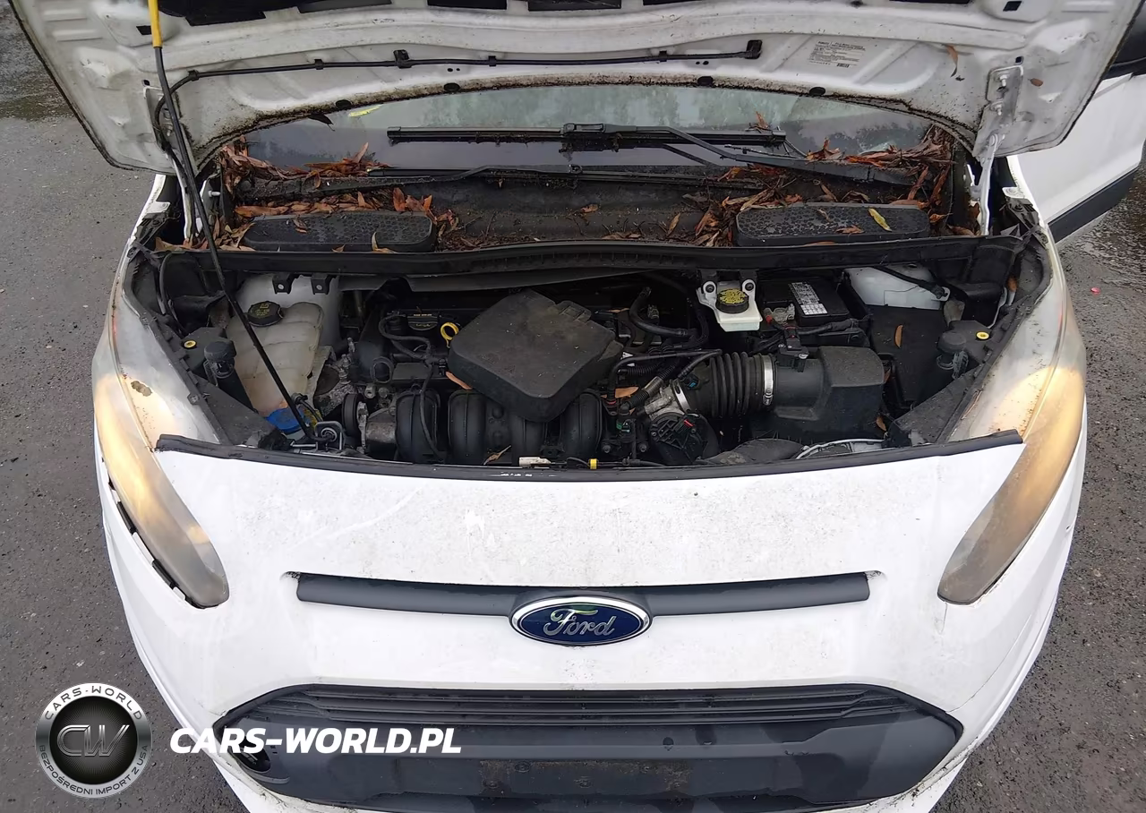 2015 Ford Transit Connect Xlt VIN:NM0LS7F76F1191203 - 10
