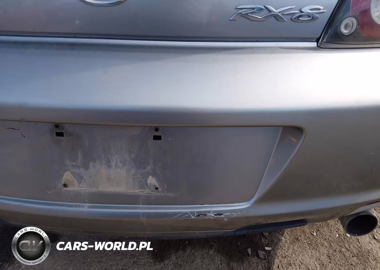 2010 Mazda Rx-8 Sport VIN:JM1FE1C47A0403927 - 6