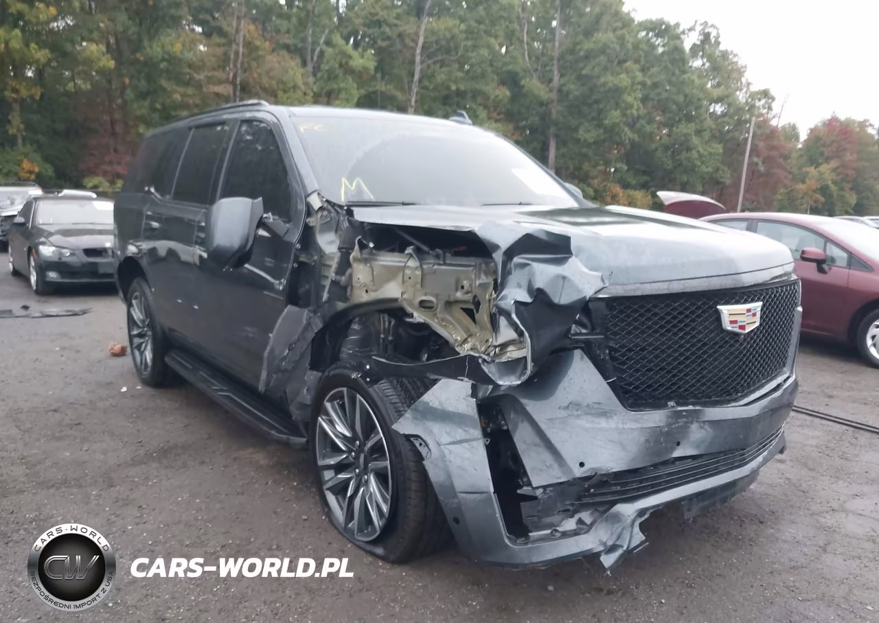 2021 Cadillac Escalade 2Wd Sport VIN:1GYS3EKL8MR215254 - 6