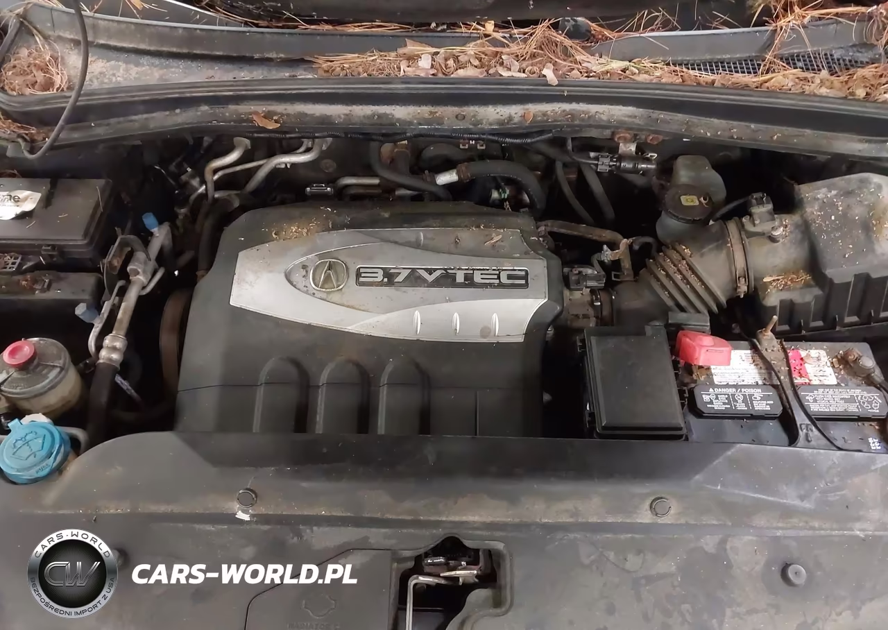 2009 Acura Mdx Technology Package VIN:2HNYD284X9H522700 - 10