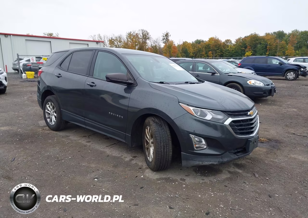 2019 Chevrolet Equinox Ls – zdjęcie 1 z 16