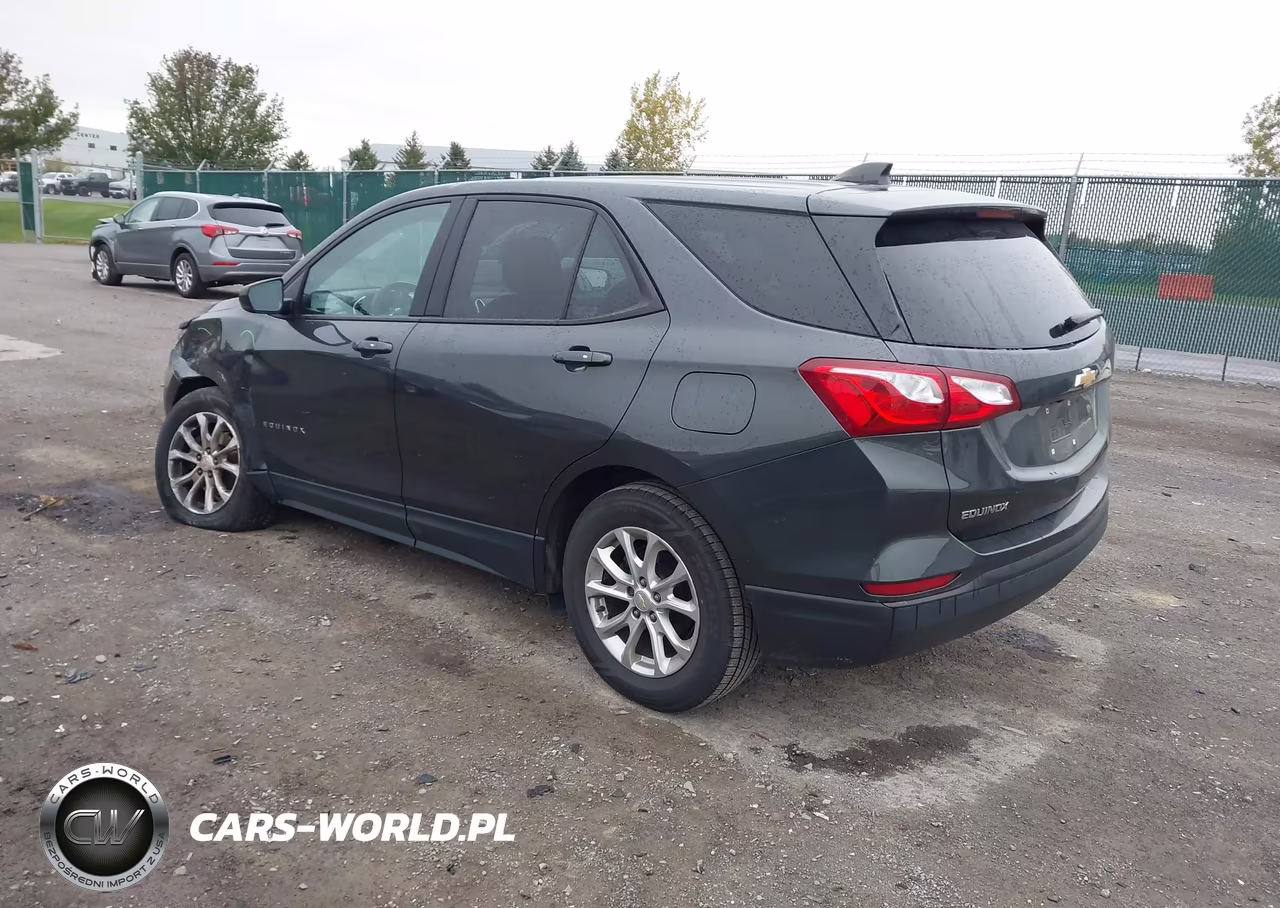 2019 Chevrolet Equinox Ls VIN:2GNAXHEV4K6297665 - 3