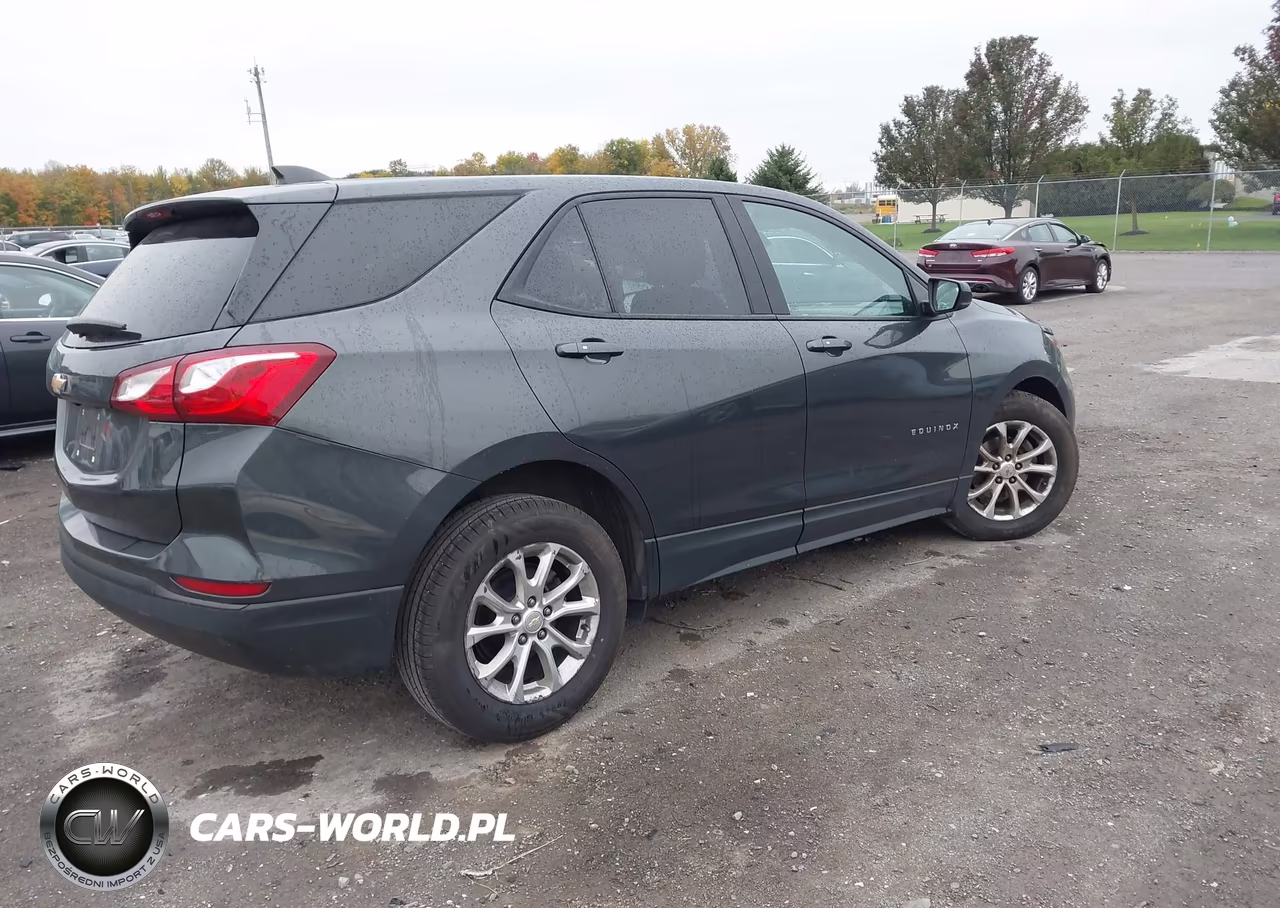 2019 Chevrolet Equinox Ls VIN:2GNAXHEV4K6297665 - 4