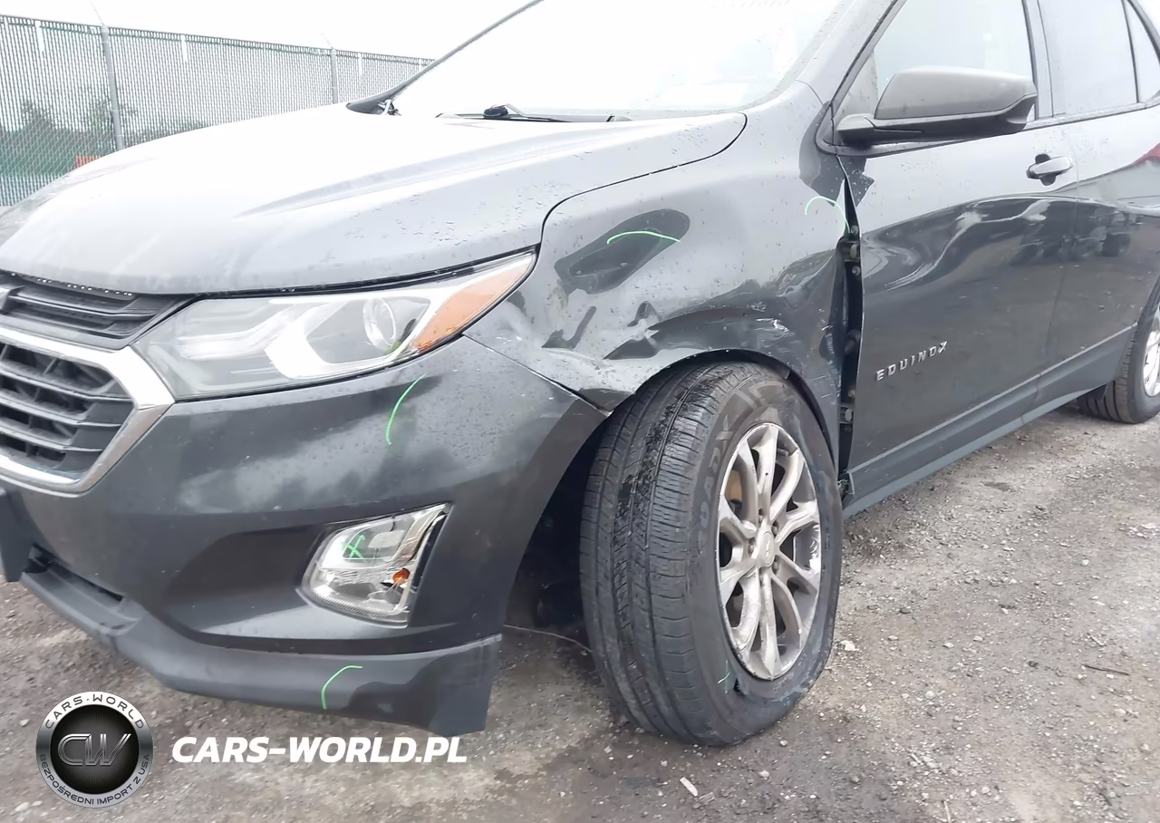 2019 Chevrolet Equinox Ls VIN:2GNAXHEV4K6297665 - 6