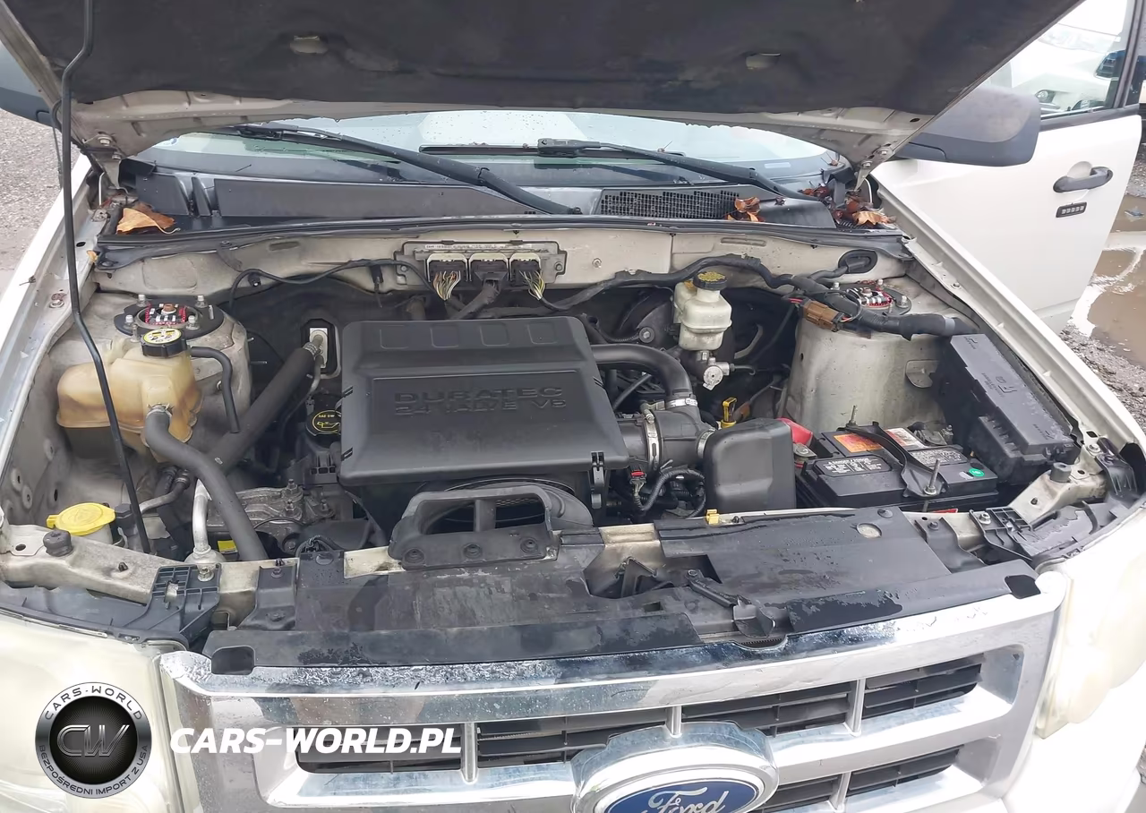2009 Ford Escape Xlt VIN:1FMCU03G29KA62989 - 10