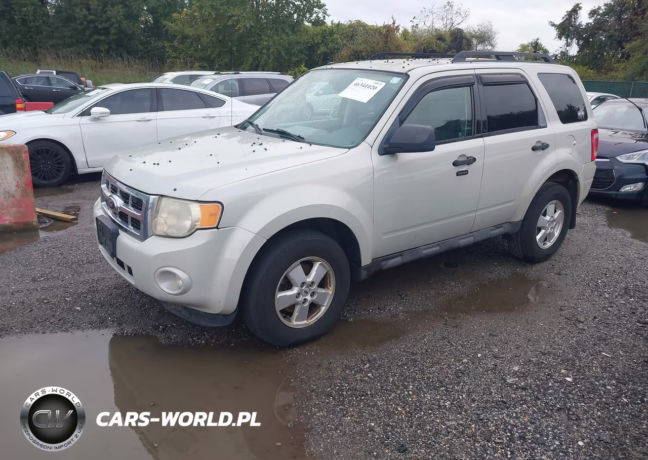 2009 Ford Escape Xlt VIN:1FMCU03G29KA62989 - 2