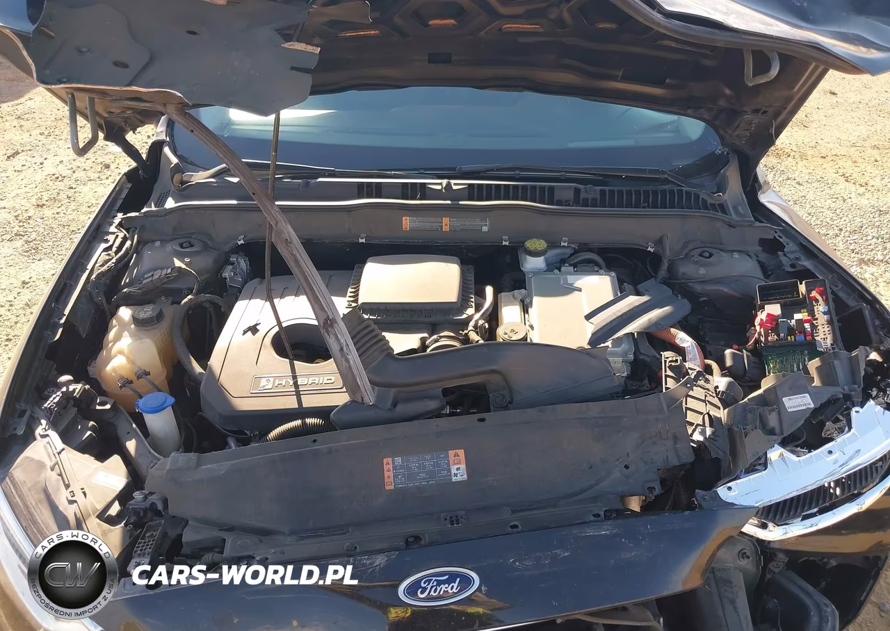 2019 Ford Fusion Hybrid Sel VIN:3FA6P0MU6KR117559 - 10