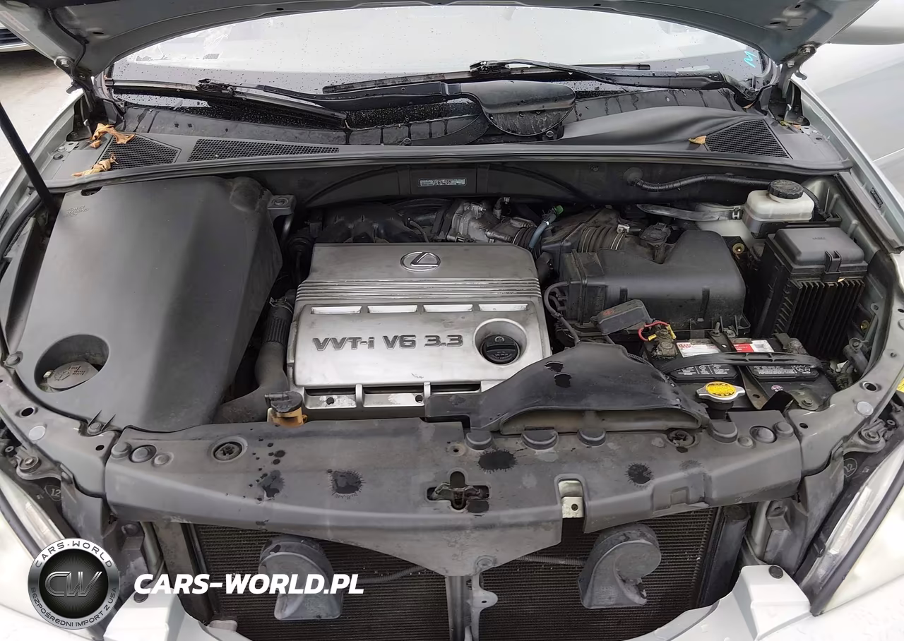 2005 Lexus Rx 330 Base (A5) VIN:JTJGA31U150053714 - 10