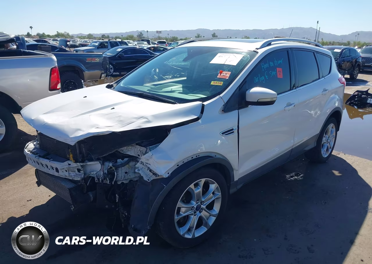 2014 Ford Escape Titanium VIN:1FMCU0J94EUA07723 - 2