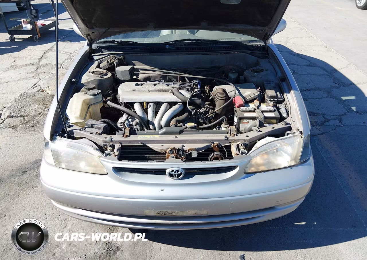 1998 Toyota Coroilla VIN:1NXBR18E2WZ008117 - 10