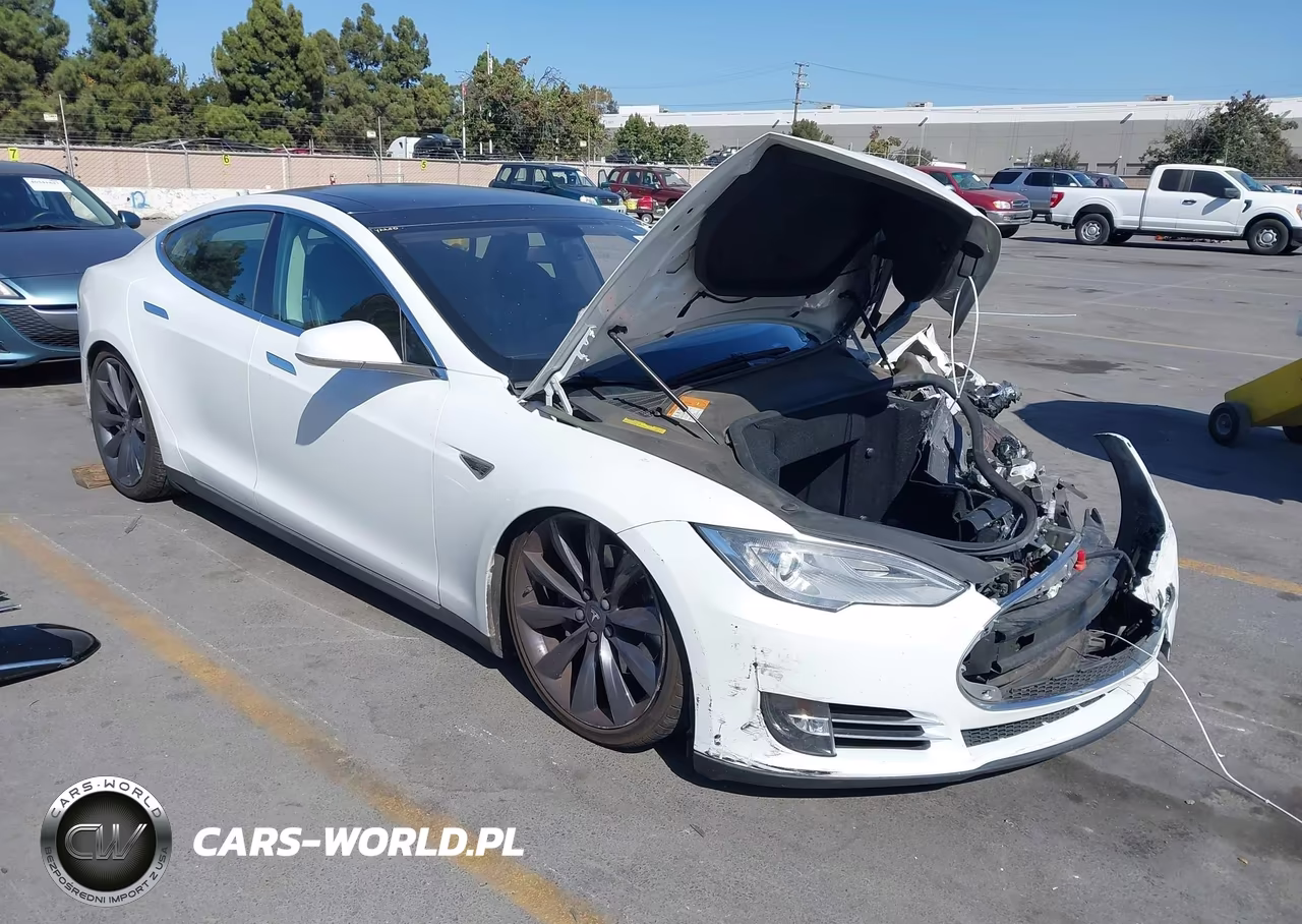 2013 Tesla Model S Performance – zdjęcie 1 z 18