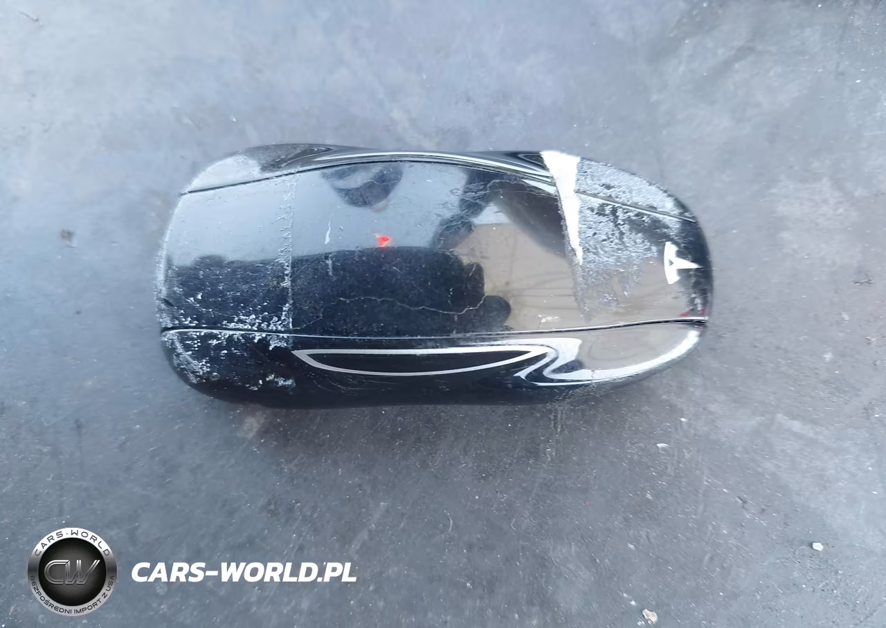 2013 Tesla Model S Performance VIN:5YJSA1CP4DFP13494 - 11