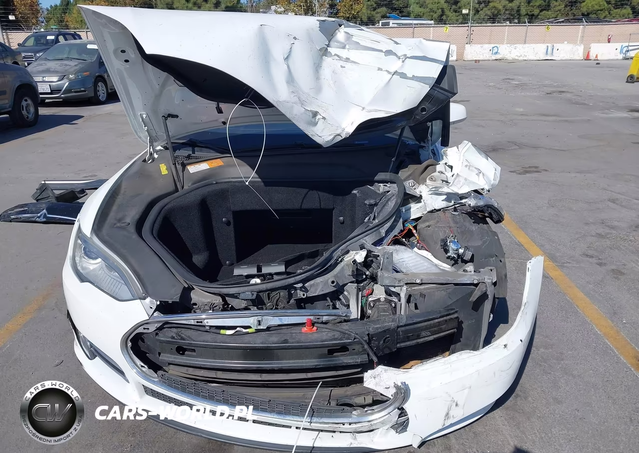 2013 Tesla Model S Performance VIN:5YJSA1CP4DFP13494 - 12