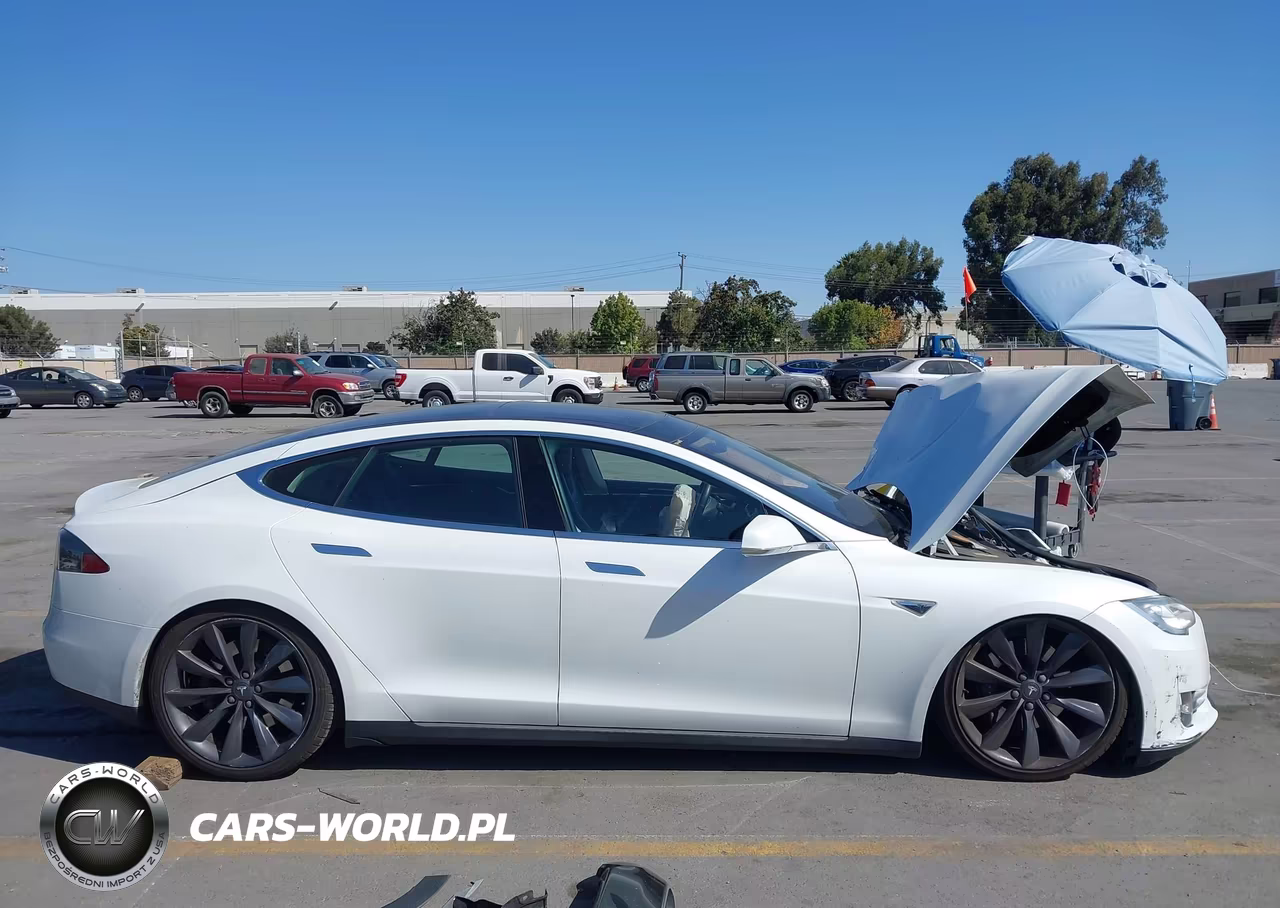 2013 Tesla Model S Performance VIN:5YJSA1CP4DFP13494 - 13