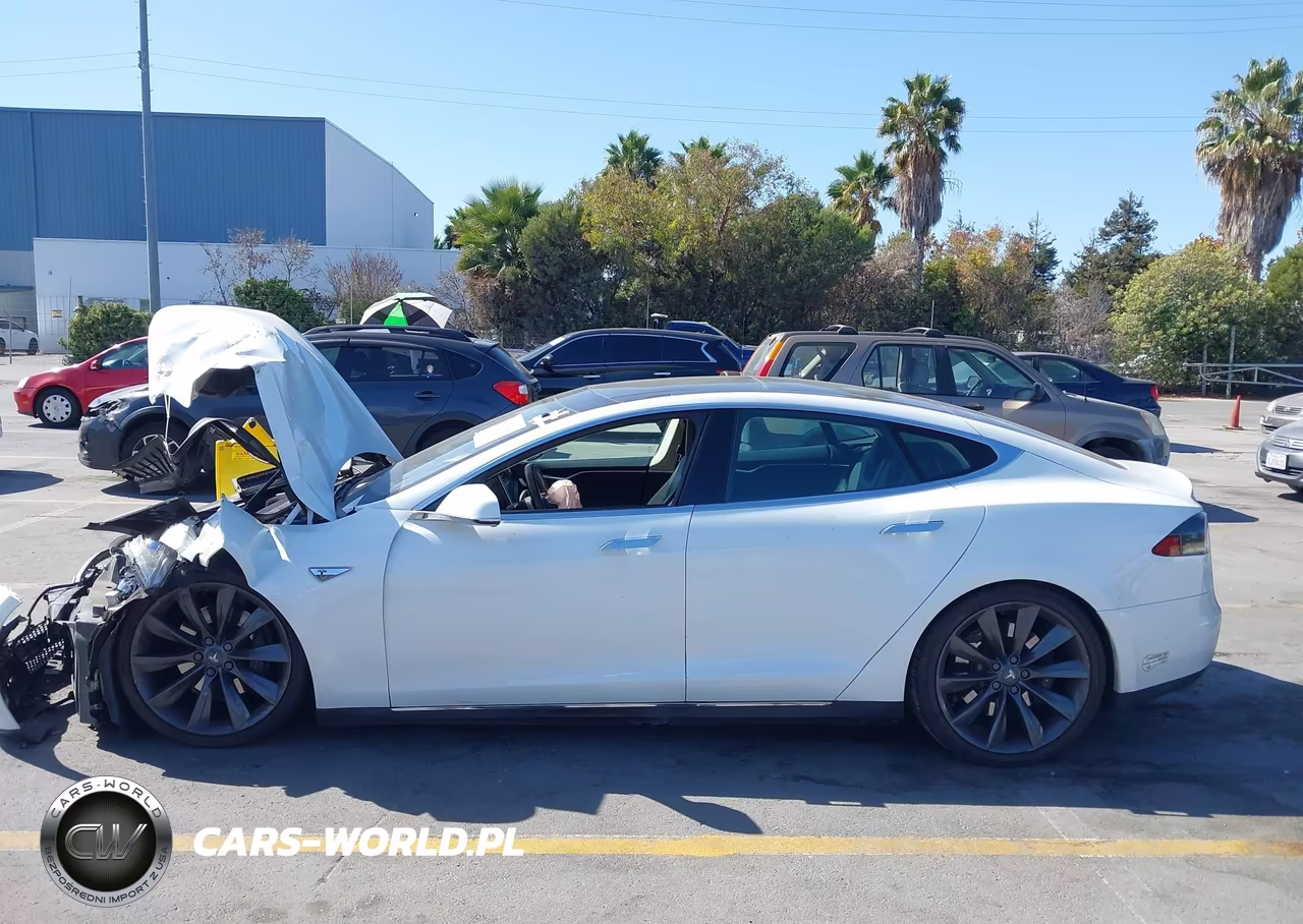 2013 Tesla Model S Performance VIN:5YJSA1CP4DFP13494 - 14
