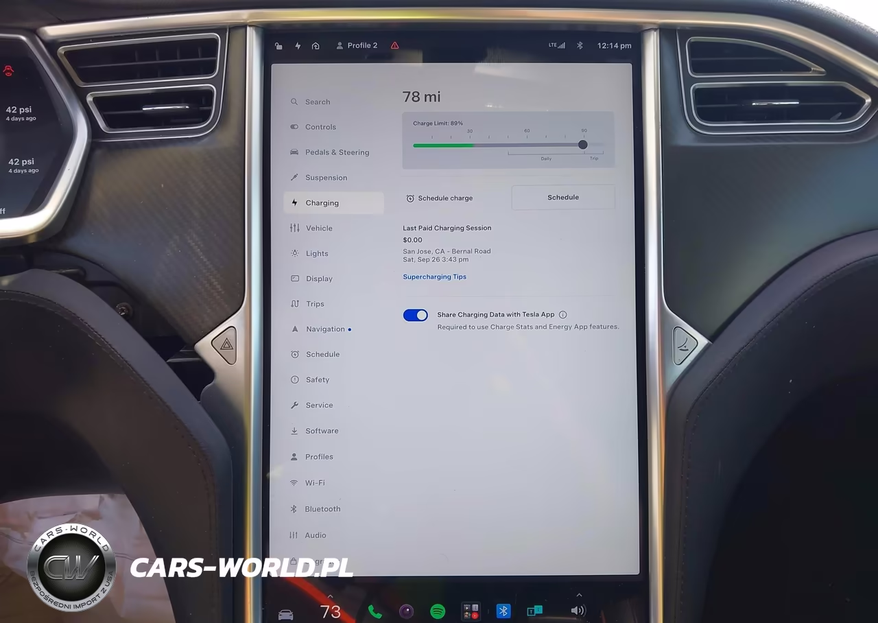2013 Tesla Model S Performance VIN:5YJSA1CP4DFP13494 - 17