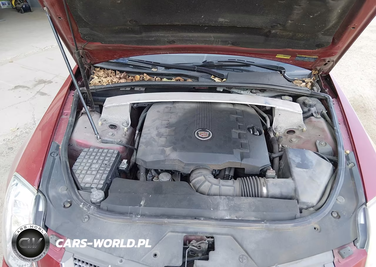 2010 Cadillac Cts Performance VIN:1G6DL5EG0A0129100 - 10