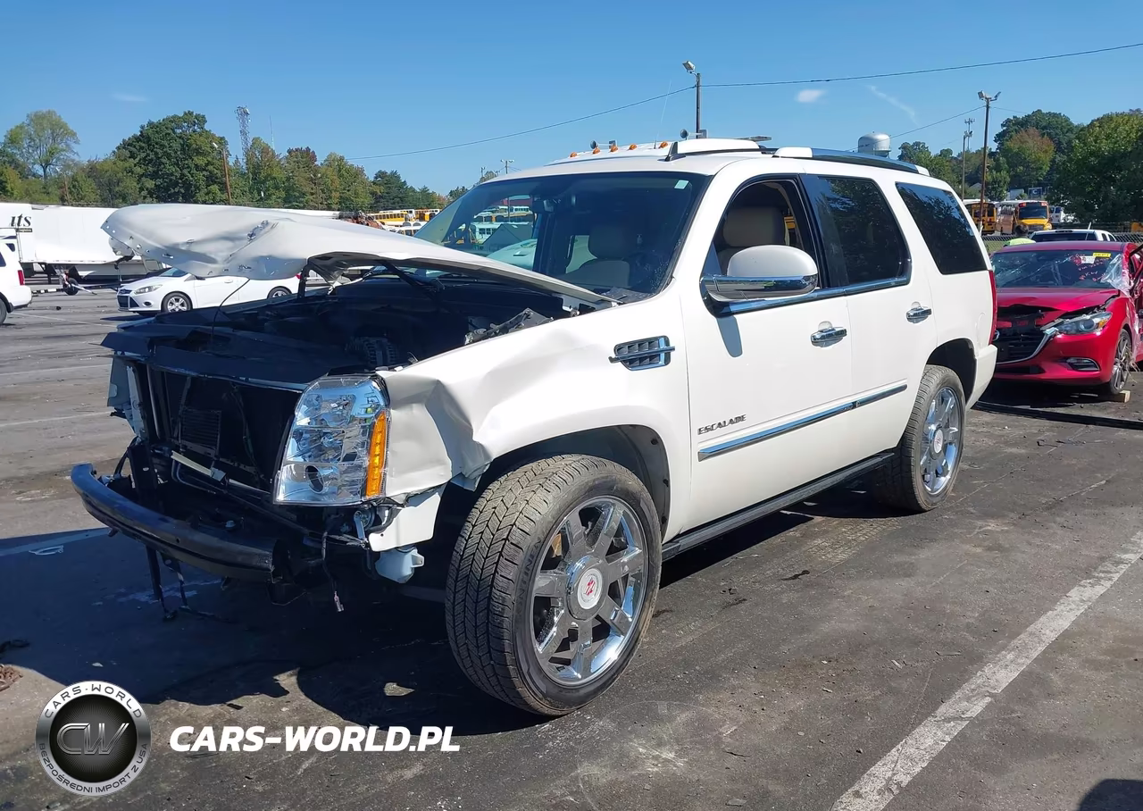 2011 Cadillac Escalade Premium VIN:1GYS4CEF5BR269440 - 2