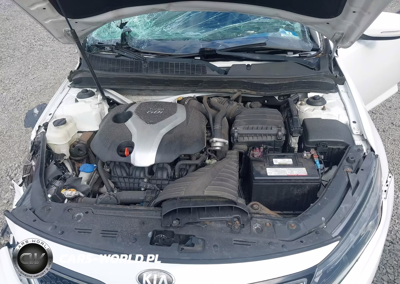 2014 Kia Optima Sx Turbo VIN:5XXGR4A69EG289187 - 10