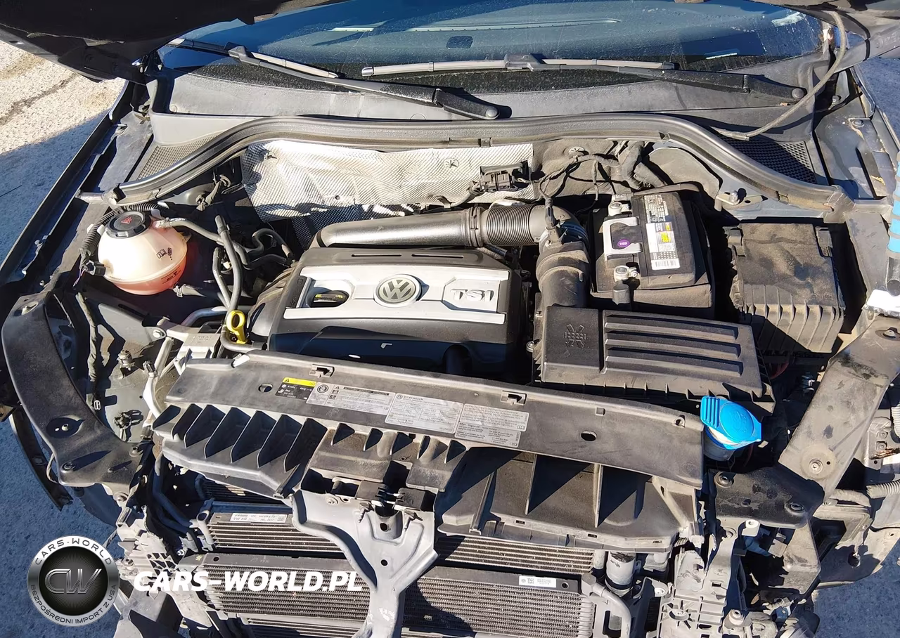 2017 Volkswagen Tiguan 2.0T-2.0T S VIN:WVGBV7AX7HK047598 - 10