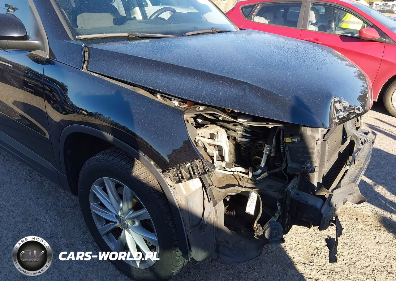 2017 Volkswagen Tiguan 2.0T-2.0T S VIN:WVGBV7AX7HK047598 - 13