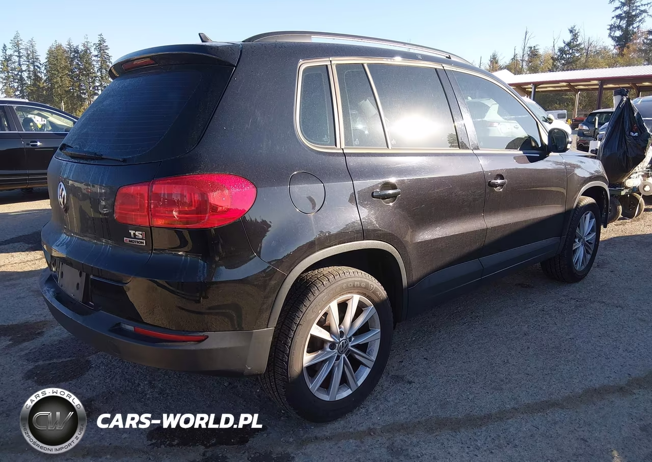 2017 Volkswagen Tiguan 2.0T-2.0T S VIN:WVGBV7AX7HK047598 - 4