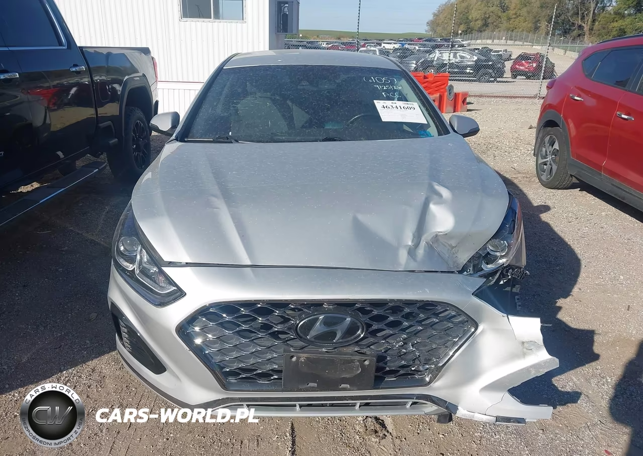 2019 Hyundai Sonata Sel VIN:5NPE34AF9KH814662 - 12